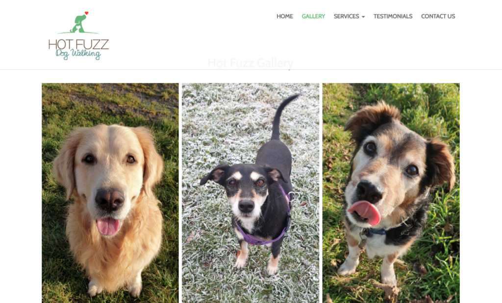 Dog walker website