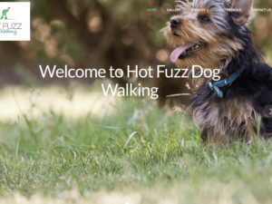 Hot Fuzz Dog Walking